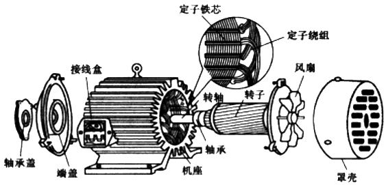 三相異步電動機的結(jié)構(gòu)