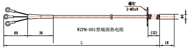 WZPM-001端面鉑電阻結(jié)構(gòu)示意圖