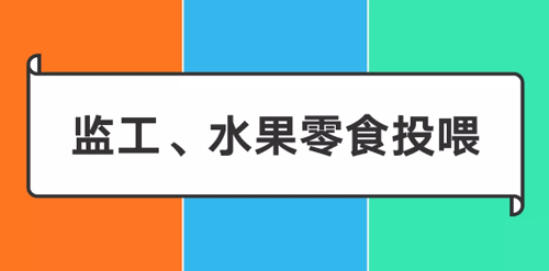 阿里/騰訊/字節(jié)跳動爸媽做什么