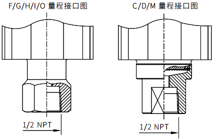 直連式壓力變送器標準形式過程連接