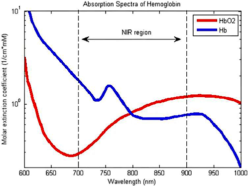 含氧血紅蛋白和脫氧血紅蛋白的吸收光譜