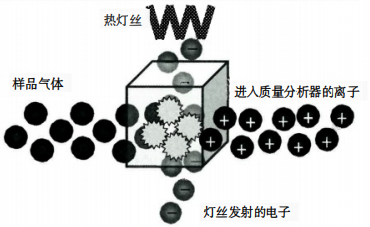 電子轟擊型離子源原理示意圖