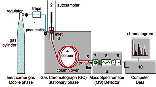 氣相色譜-質(zhì)譜儀簡(jiǎn)圖
