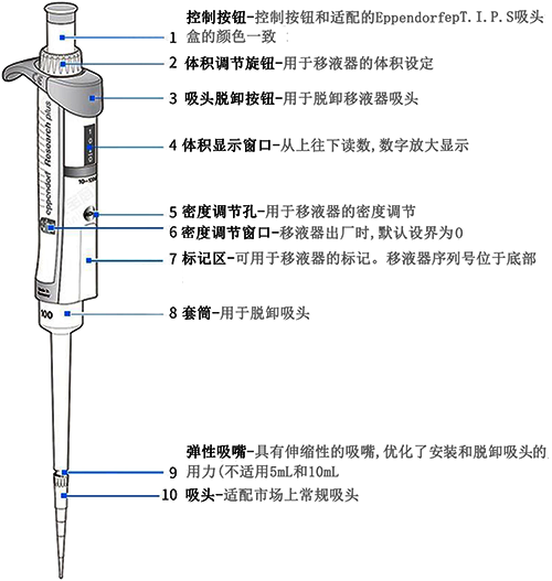 移液槍