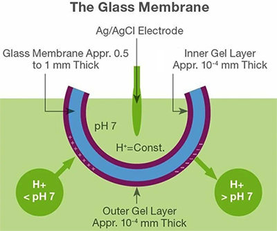 玻璃膜pH電極工作原理